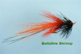 Ballathie Shrimp